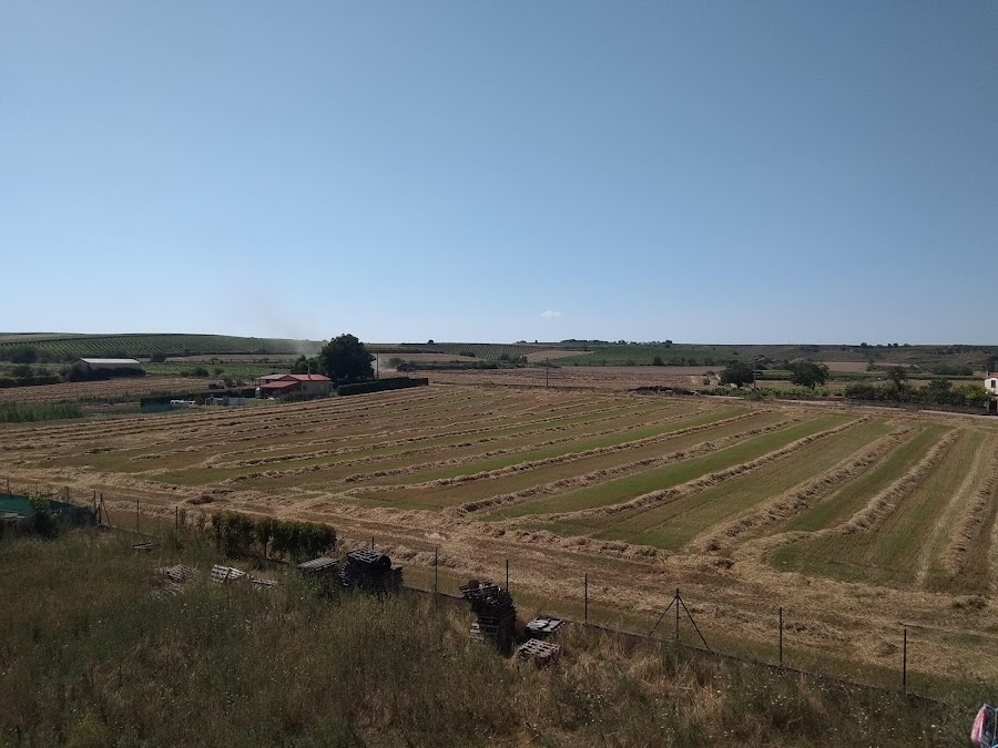 Restaurantes en Alesanco provincia de Rioja, La