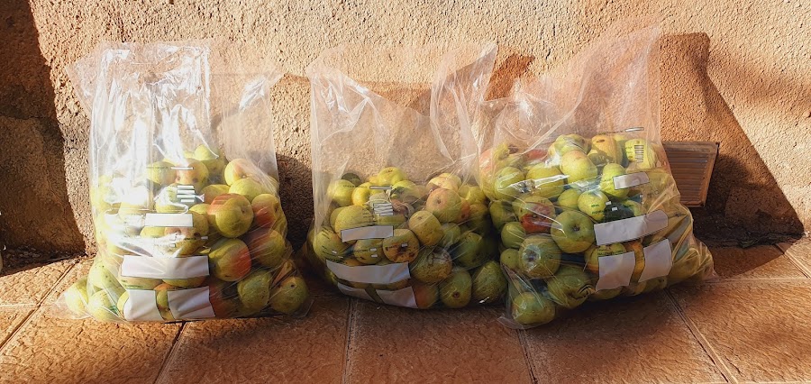 Restaurantes en Jaramillo de la Fuente provincia de Burgos