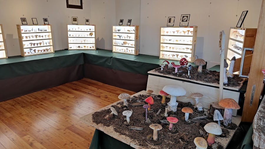 Restaurantes en Trévago provincia de Soria