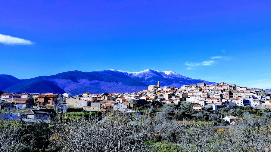 Restaurantes en Alcalá de Moncayo provincia de Zaragoza