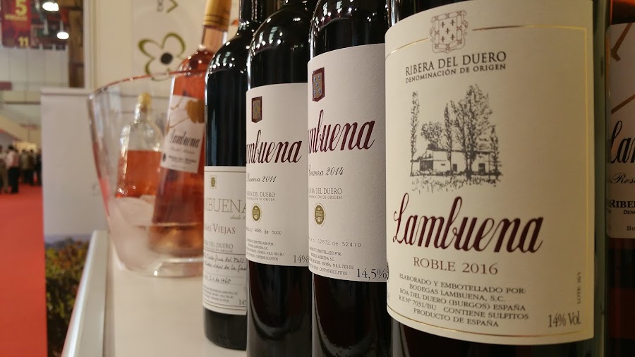 Bodegas Lambuena - Ribera del Duero
