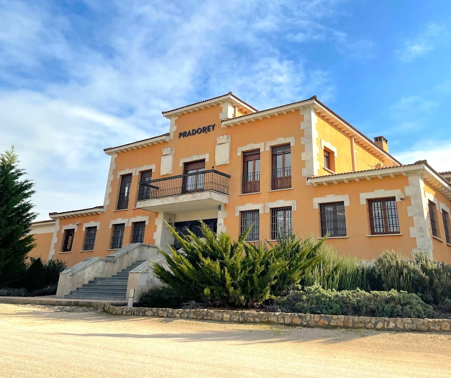 Bodegas Pradorey - Ribera del Duero