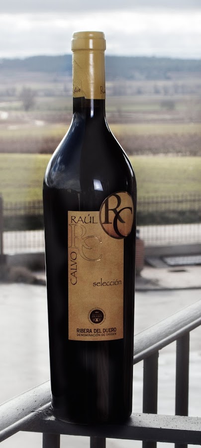Bodegas Raúl Calvo - Ribera del Duero