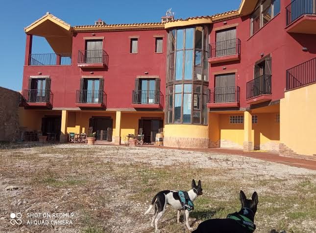 Restaurantes en Castejón de Valdejasa provincia de Zaragoza