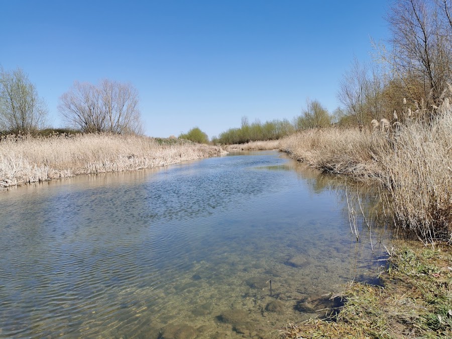 Restaurantes en Villamedianilla provincia de Burgos
