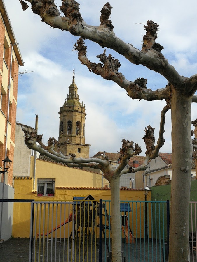 Hogar Del Jubilado
