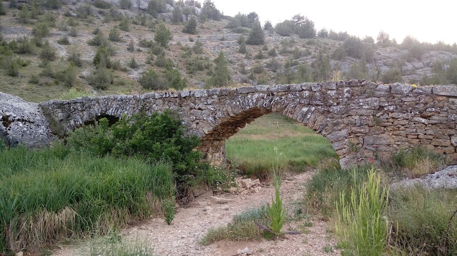 Restaurantes en Hontoria del Pinar provincia de Burgos
