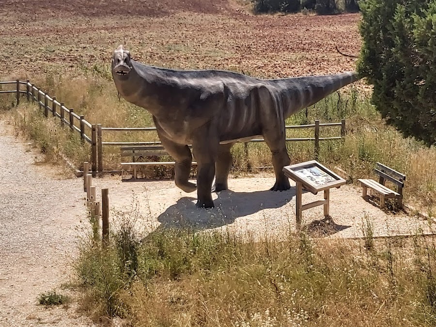 LaraSauro
