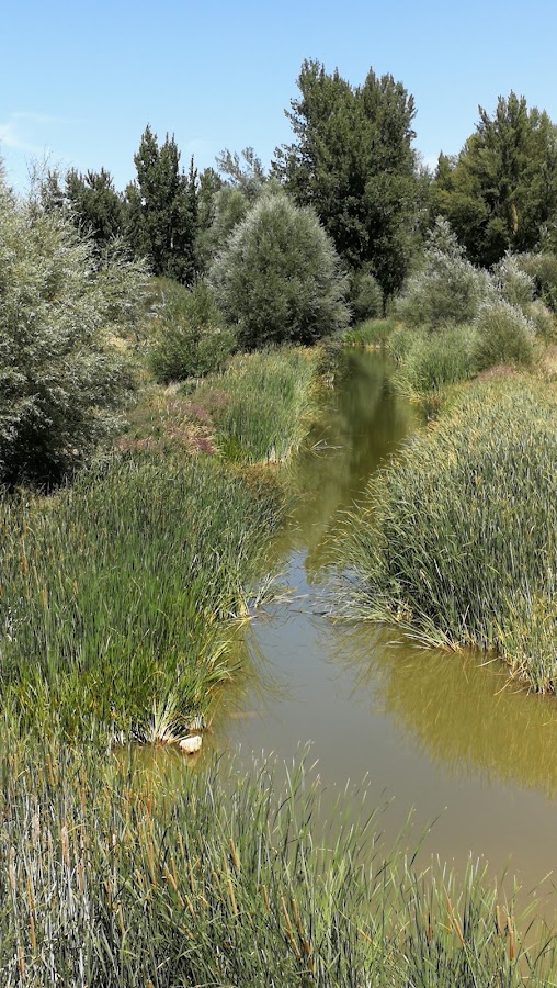 Restaurantes en Villasandino provincia de Burgos