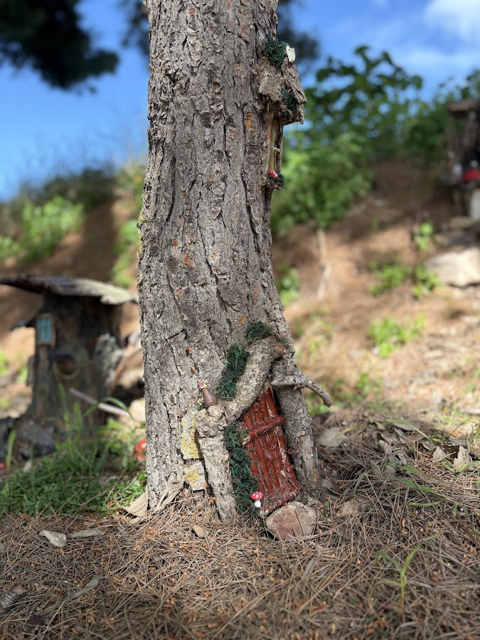 PALACIO DE BURETA Y BOSQUE ENCANTADO