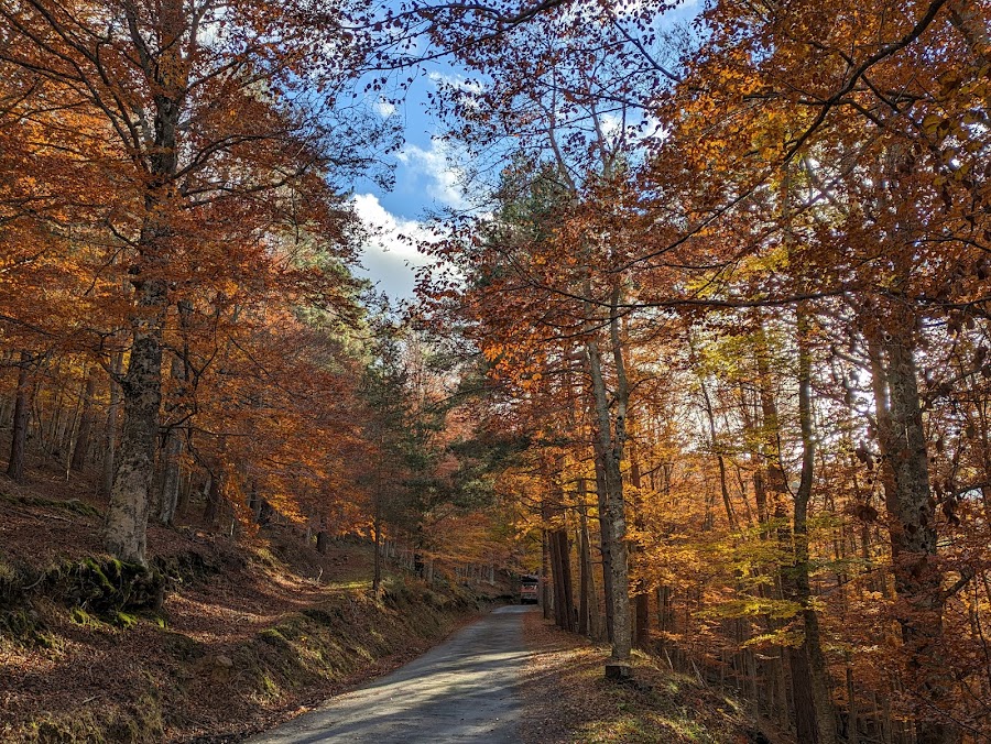 Parque Natural Sierra de Cebollera