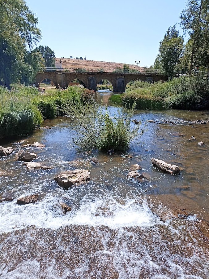 Restaurantes en Estepa de San Juan provincia de Soria
