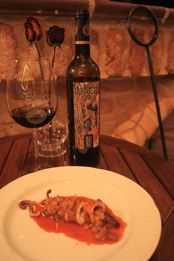 Severino Sanz - Bodega con Restaurante en Ribera del Duero