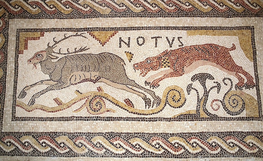 Villa romana de Santa Cruz o de Baños de Valdearados