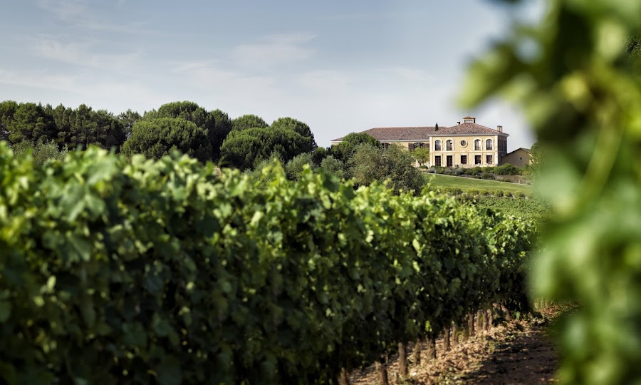 Bodegas Áster - Ribera del Duero