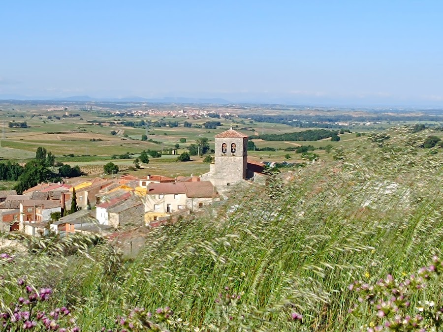 Casa Azul Ribera del Duero (Casa Rural)