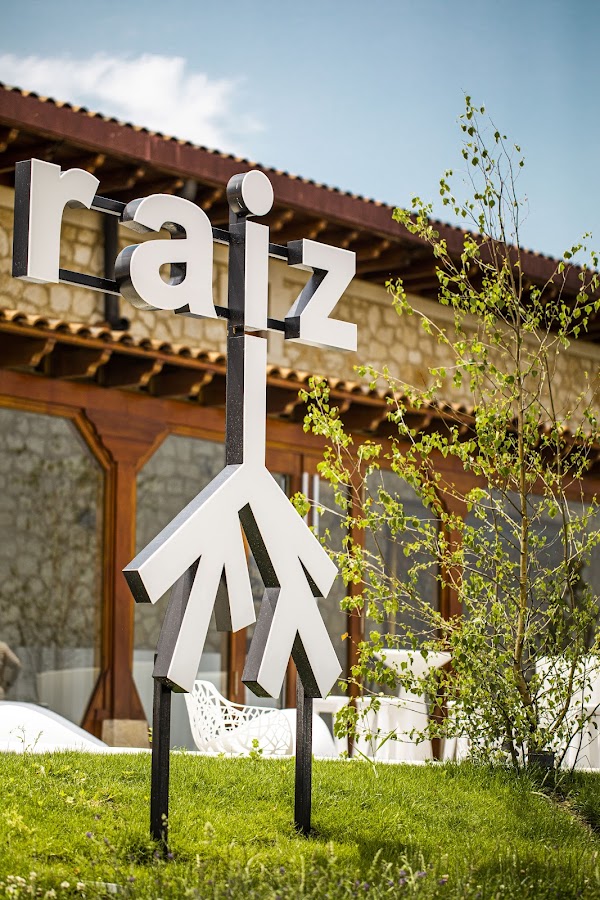 Hotel Raíz