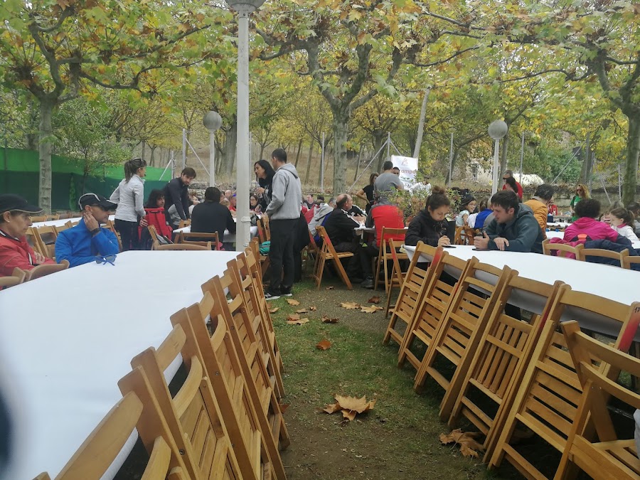 La Universidad