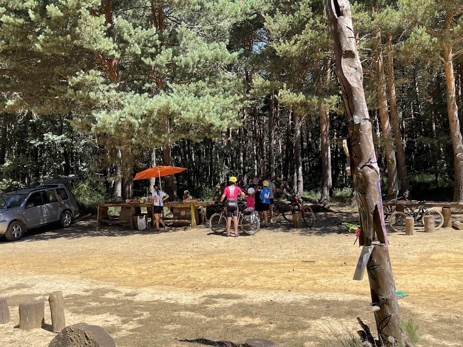 Oasis del peregrino